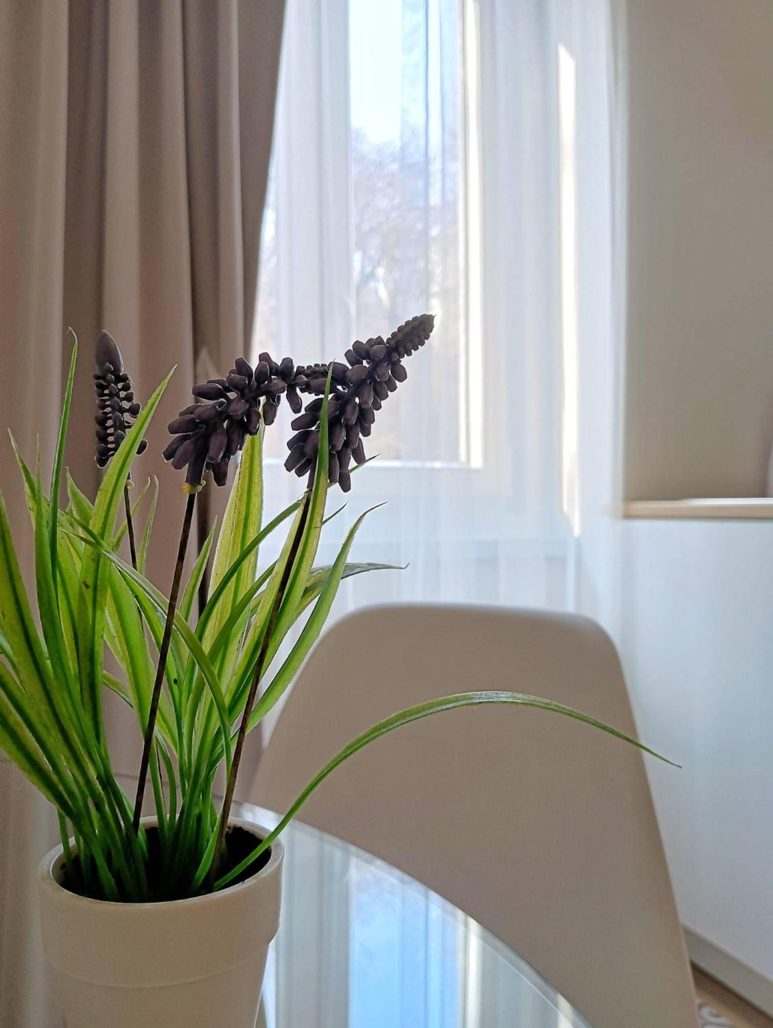 Tesa2 Casa Vacanze Trieste Dış mekan fotoğraf